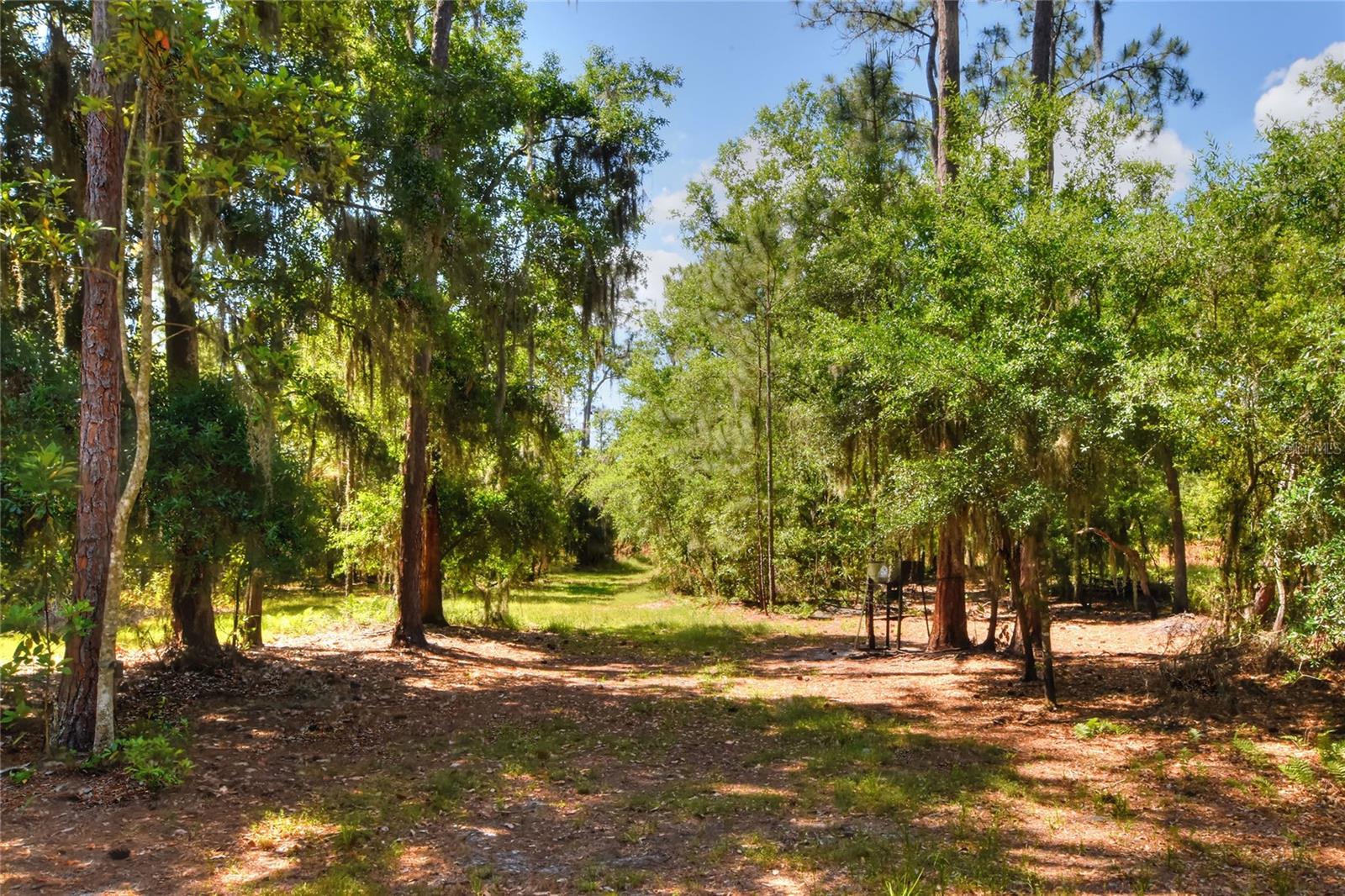 0 Lake Buffum Rd W Property Photo 11