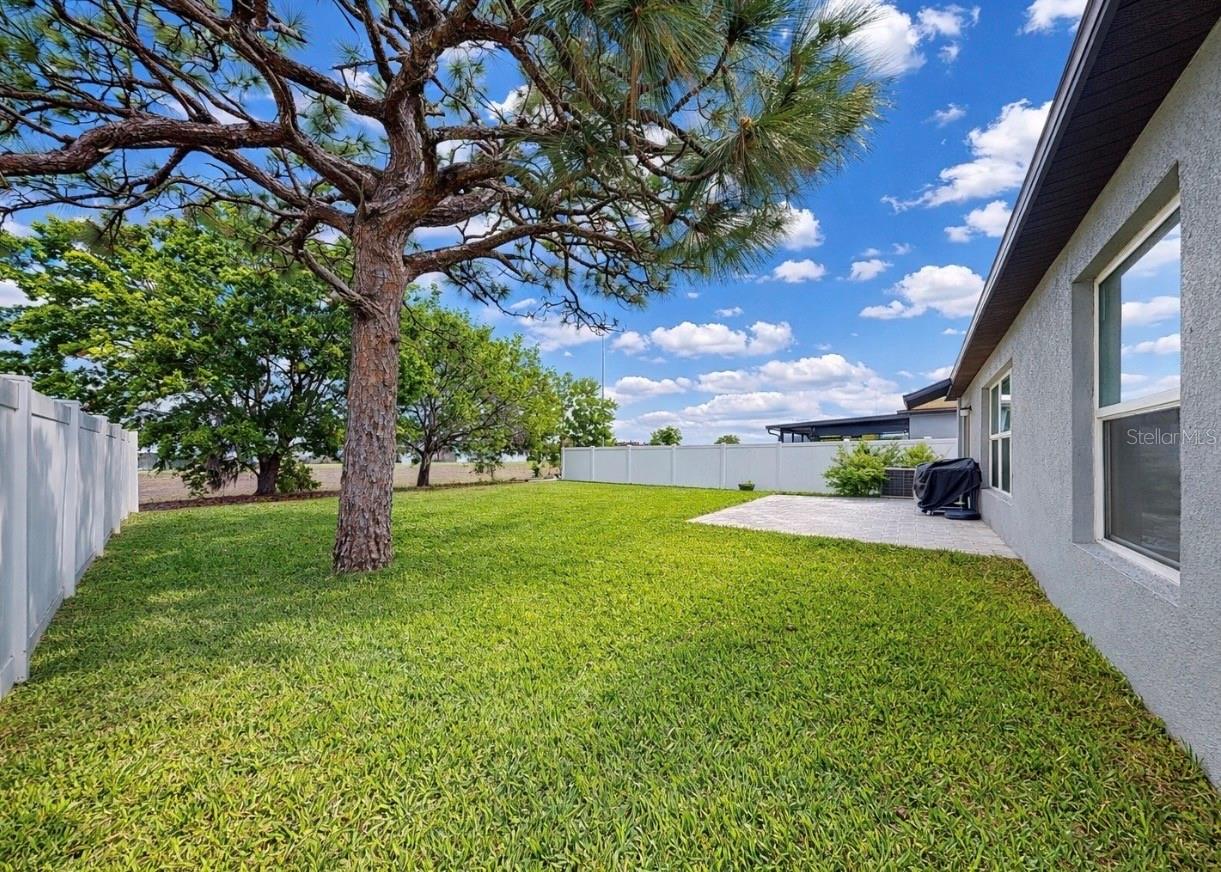 13256 Great Plains Dr Property Photo 38