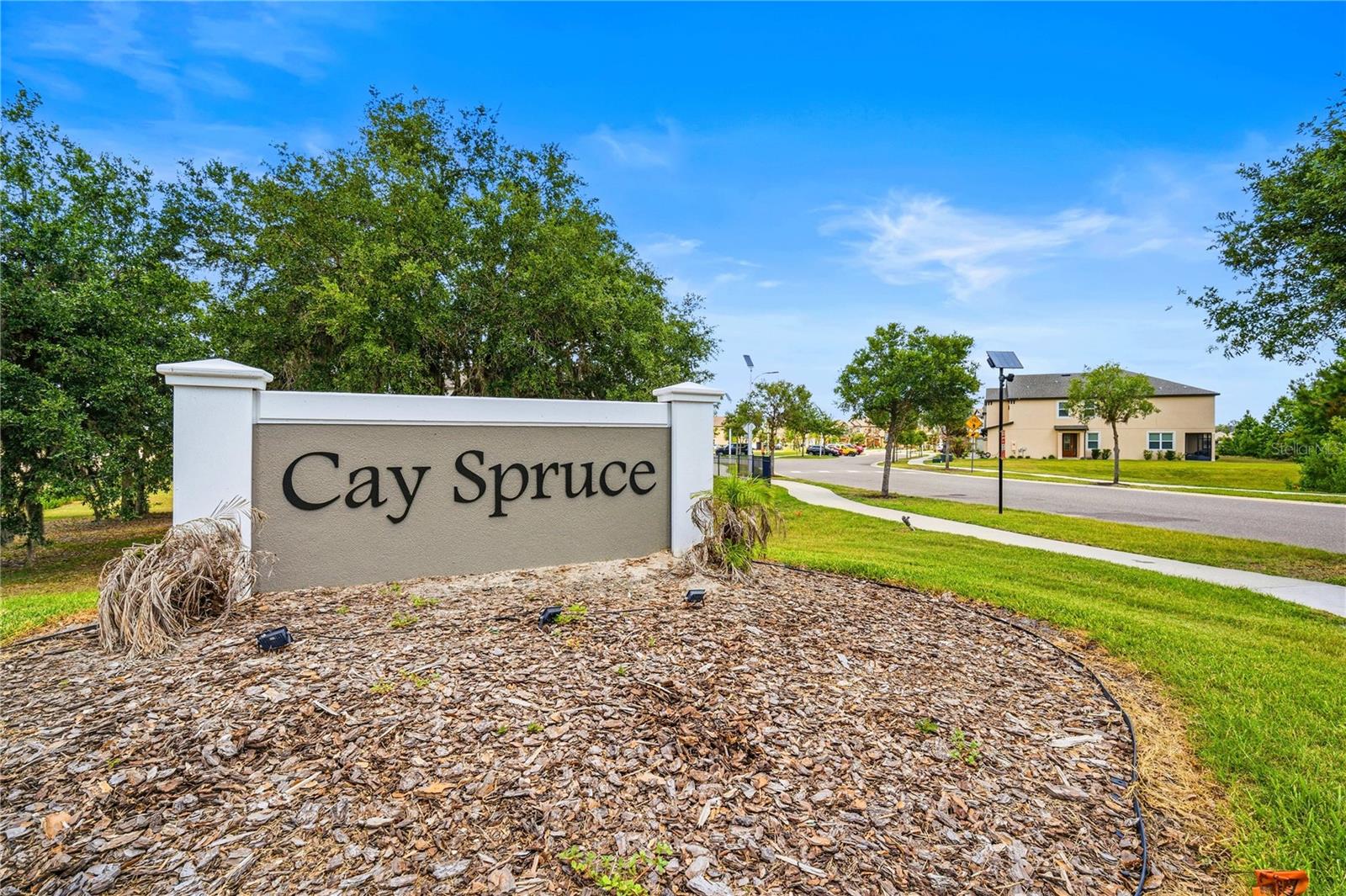 11240 Cay Spruce Way Property Photo 30