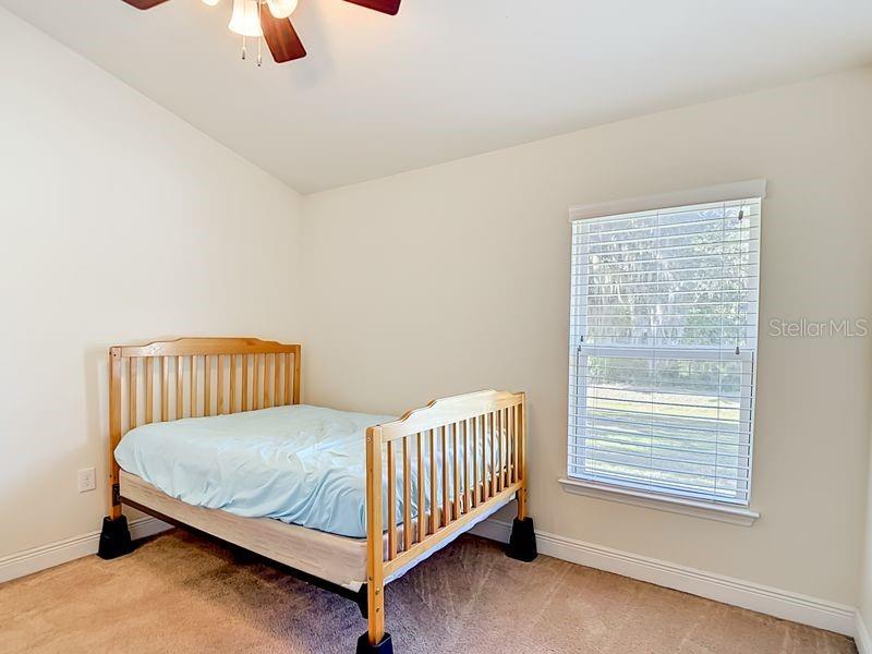 12244 Loopback Dr Property Photo 50