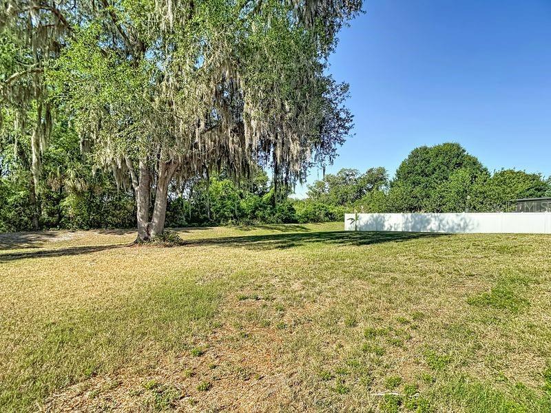 12244 Loopback Dr Property Photo 60