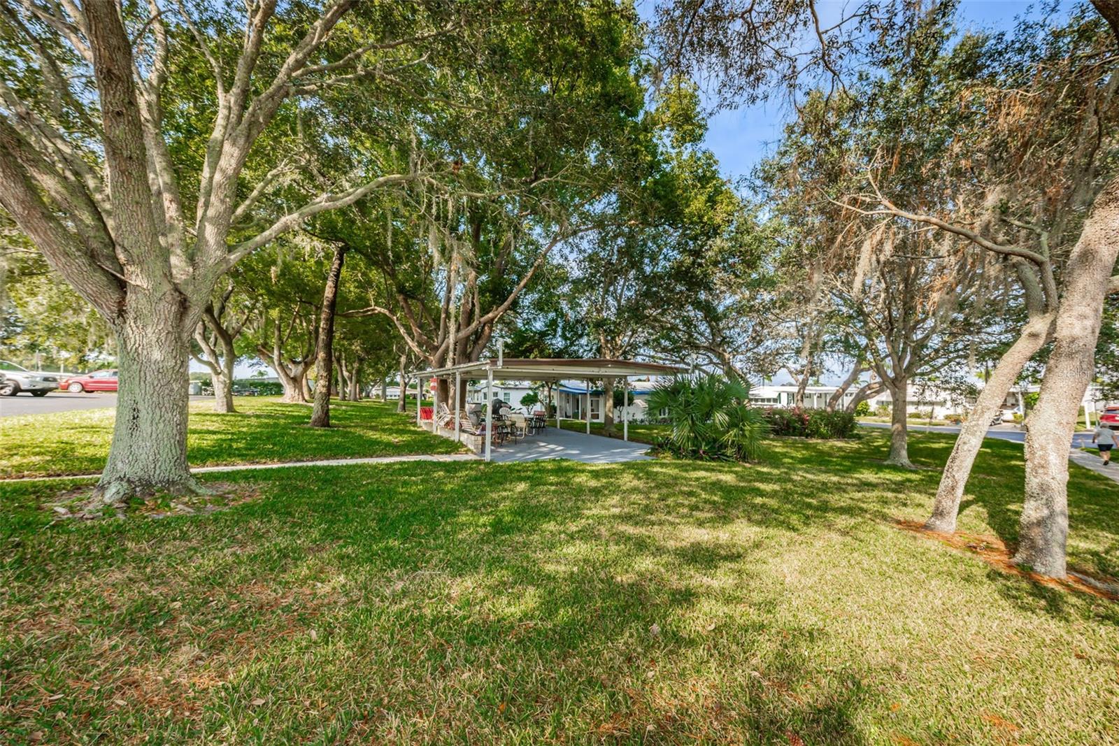 39820 Us Highway 19 N #15 Property Photo 68