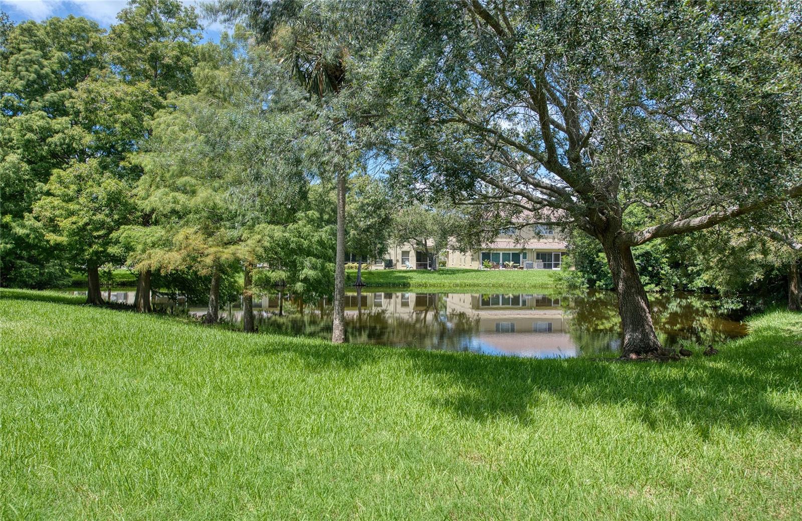 11235 Kapok Grand Cir Property Photo 28