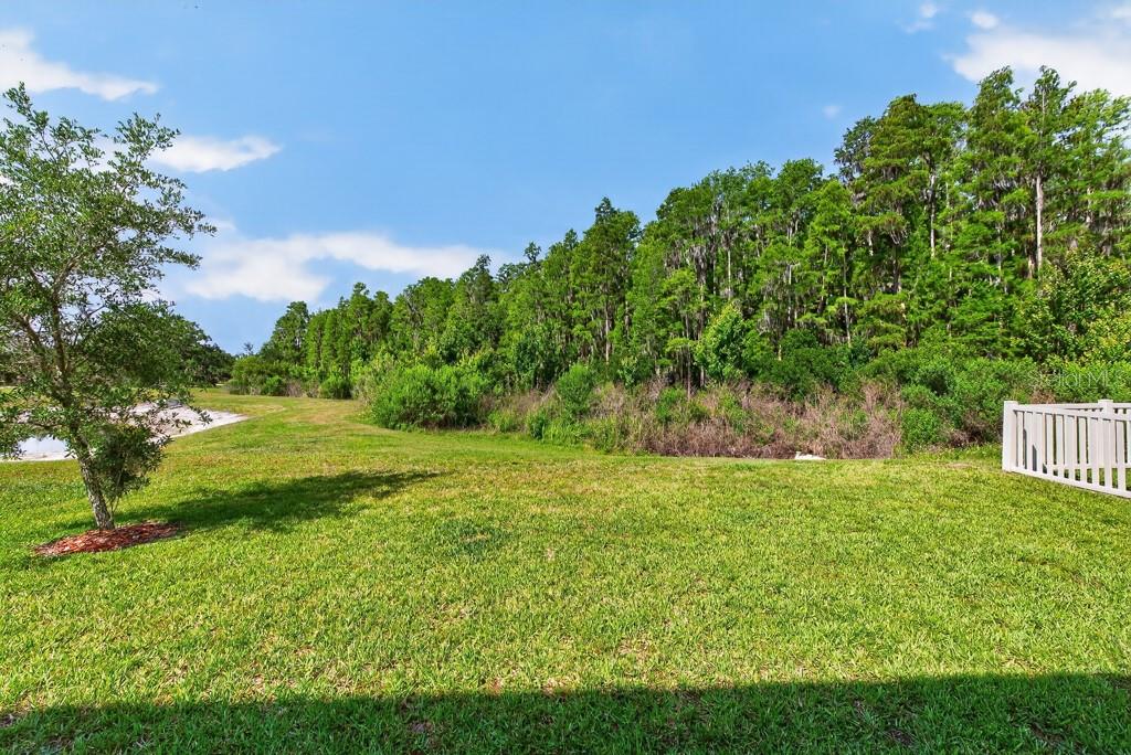 19222 Old Spanish Rd Property Photo 31