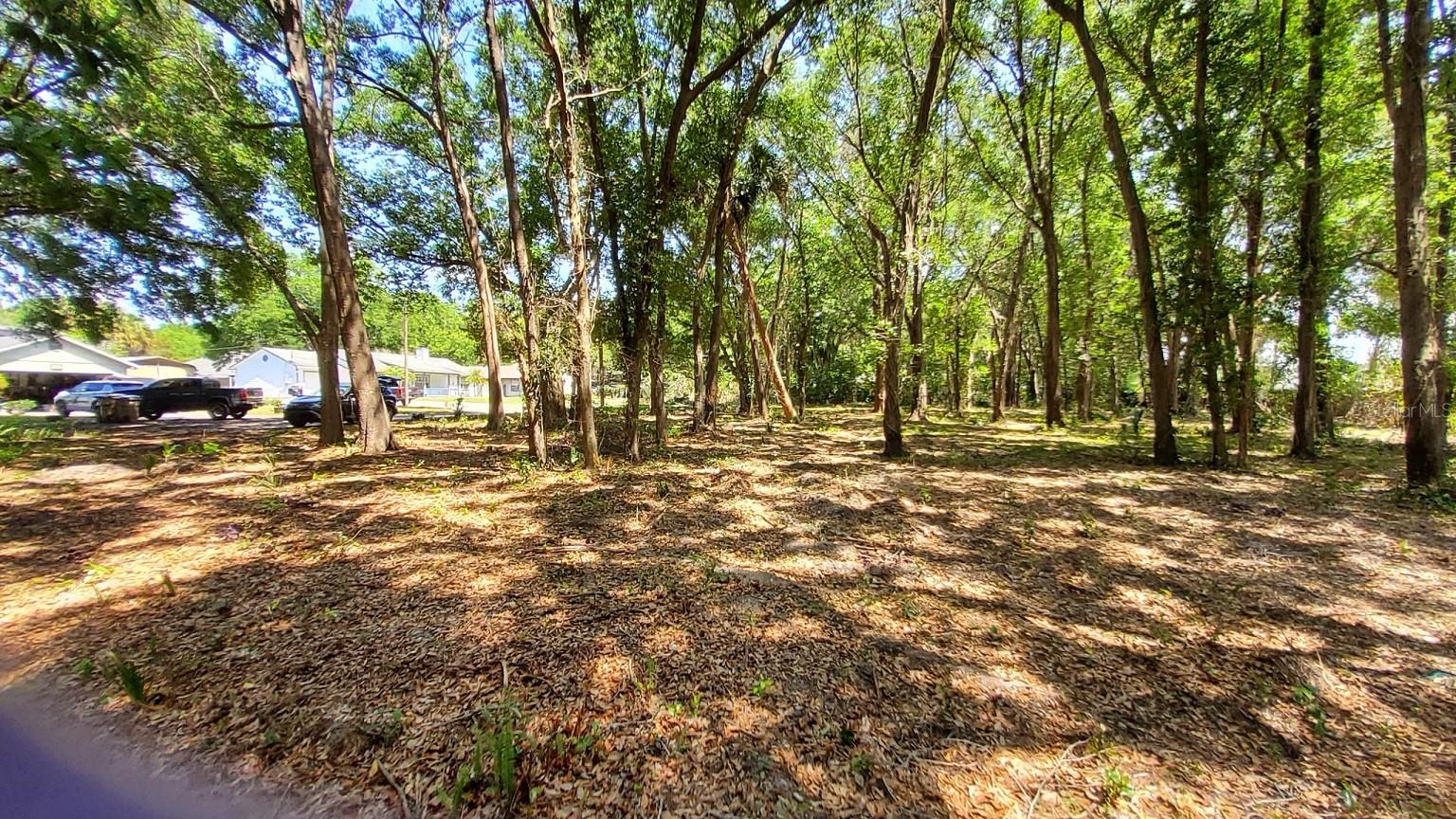 25050 Algonquin Ave Property Photo 8