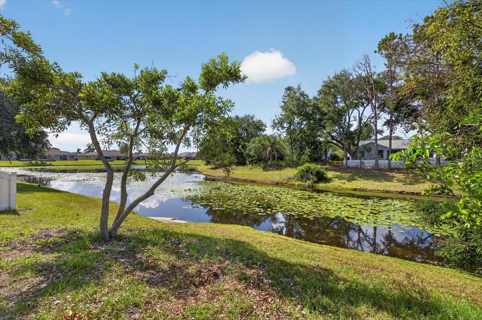 12015 Cedarfield Dr Property Photo 34