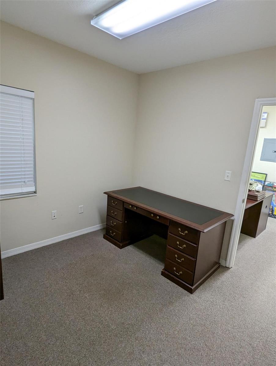 3341 W Bearss Ave Property Photo 15