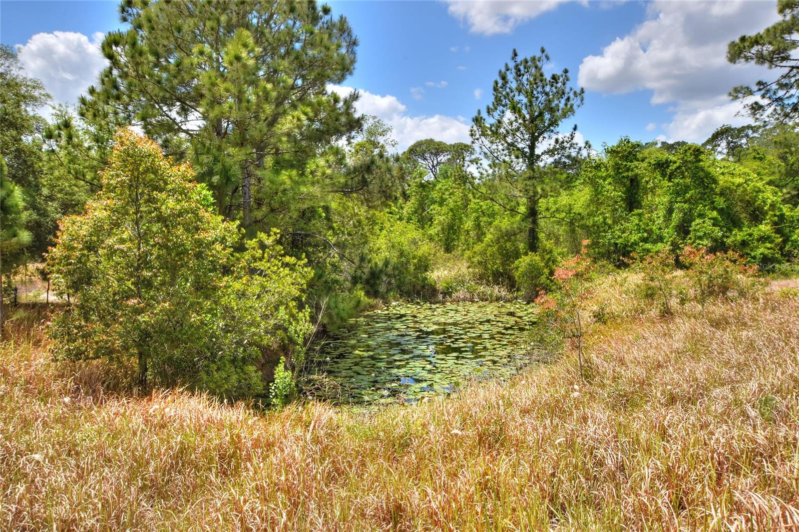 1885 Pfundstein Rd Property Photo 29