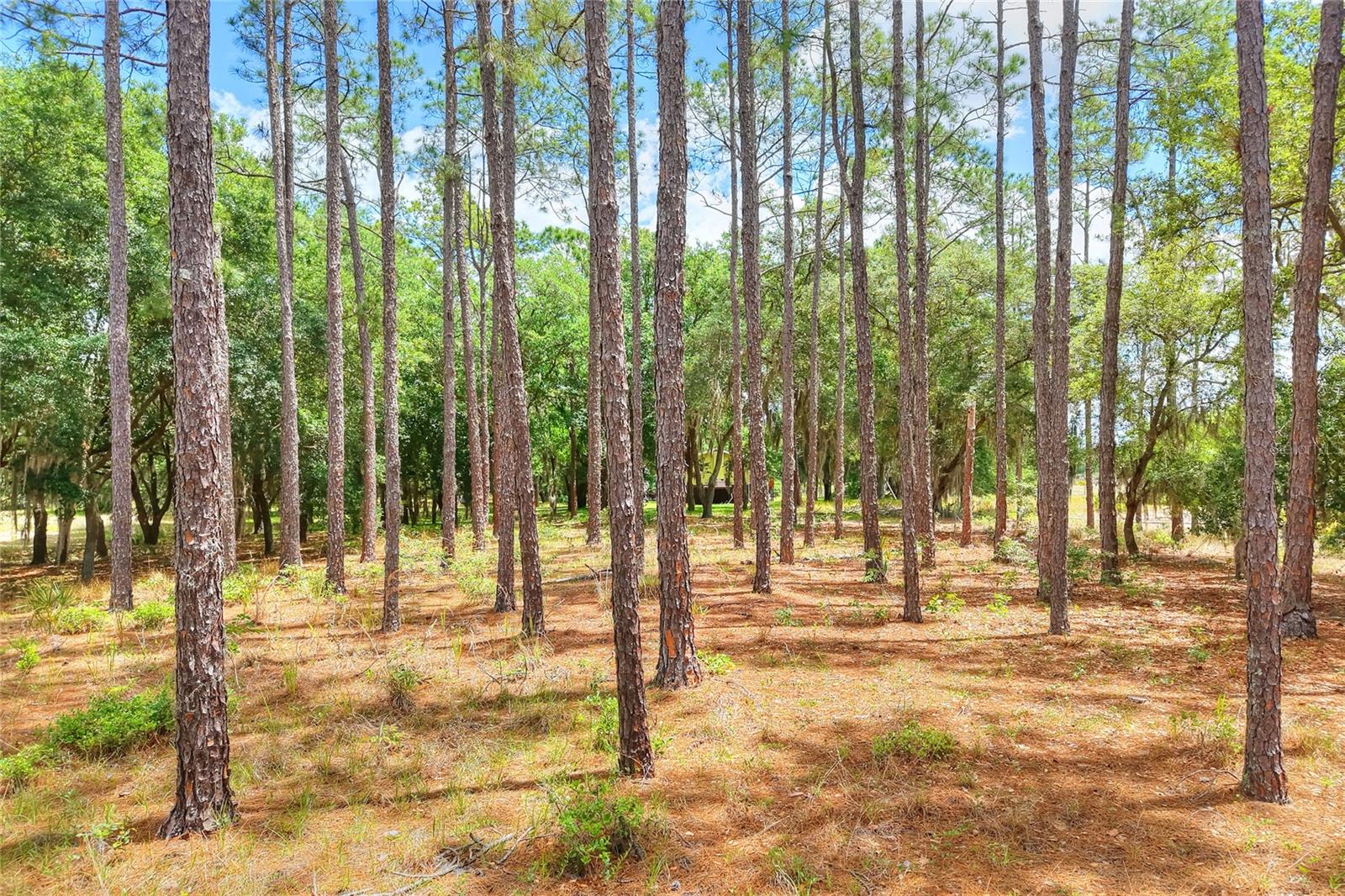 1885 Pfundstein Rd Property Photo 31