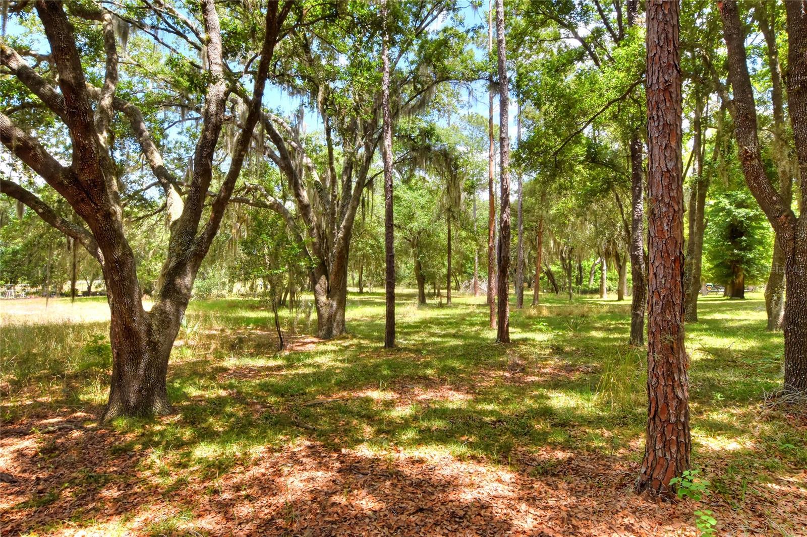 1885 Pfundstein Rd Property Photo 32