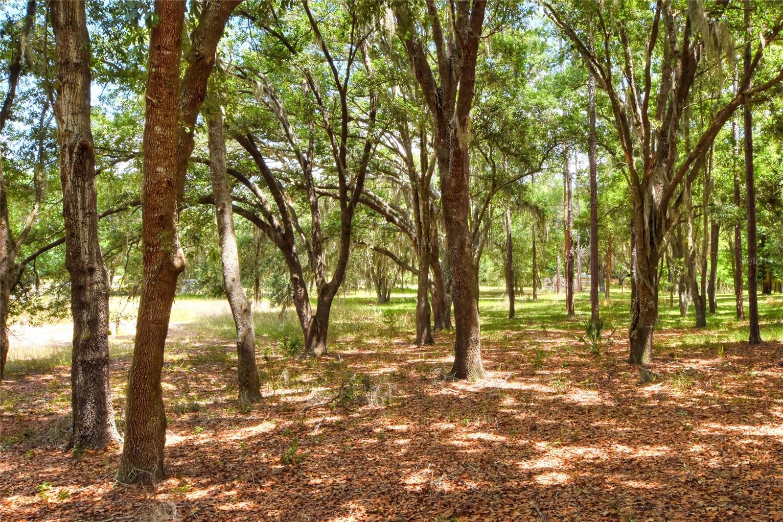 1885 Pfundstein Rd Property Photo 33