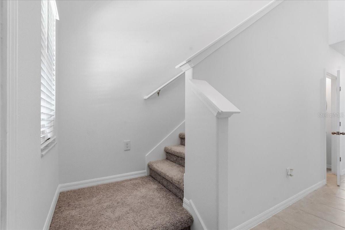 5224 White Chicory Dr Property Photo 21