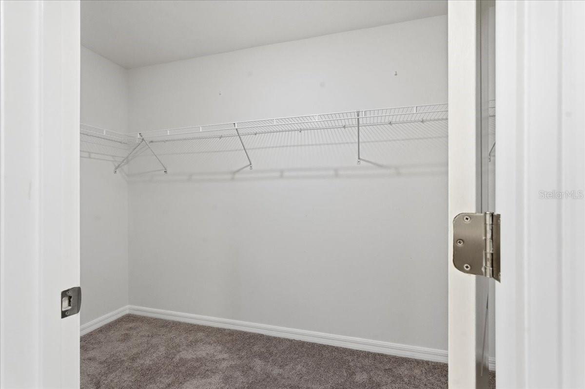 5224 White Chicory Dr Property Photo 31