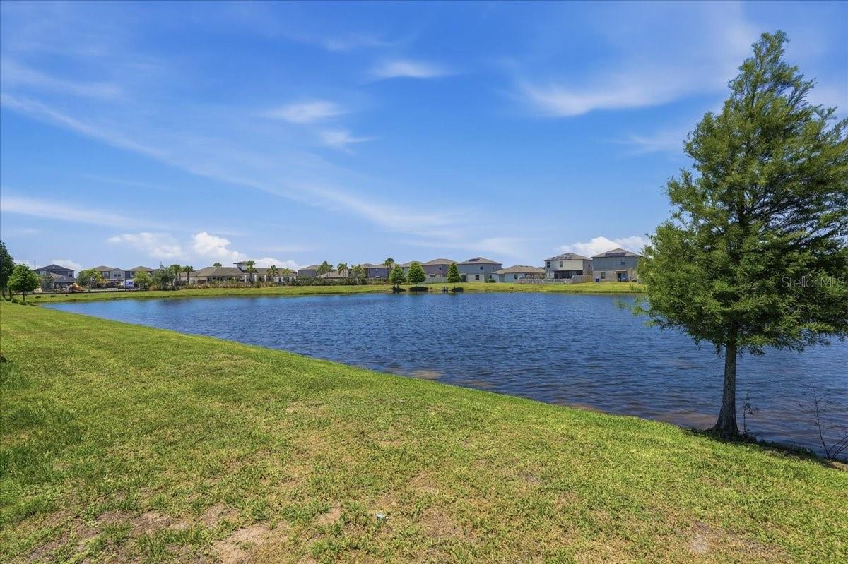 5224 White Chicory Dr Property Photo 45
