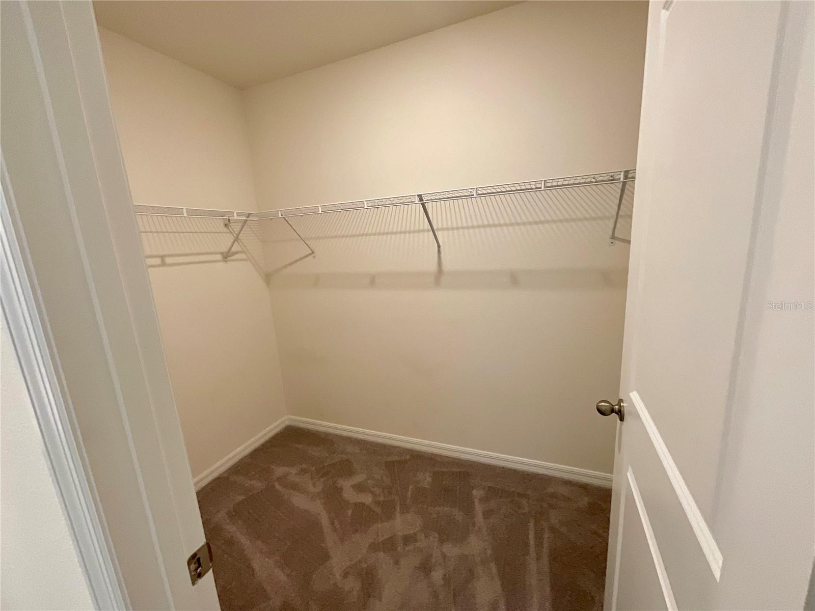33409 Field Maple Loop Property Photo 19