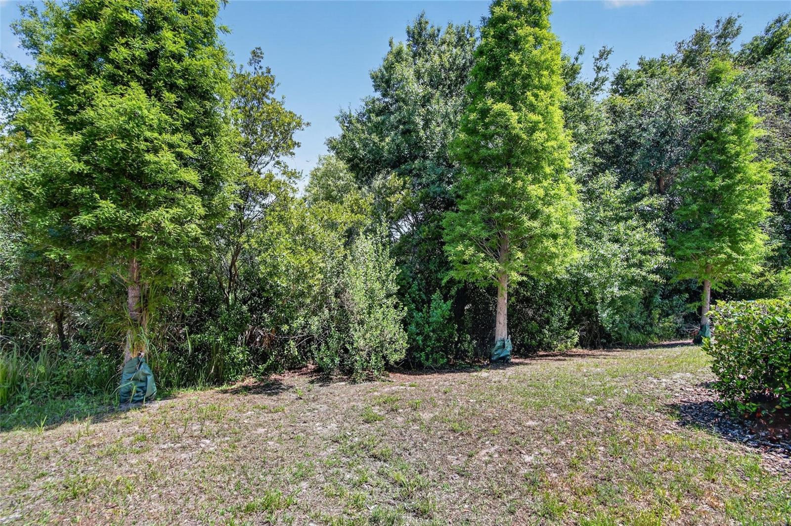 6936 Breezy Palm Dr Property Photo 55