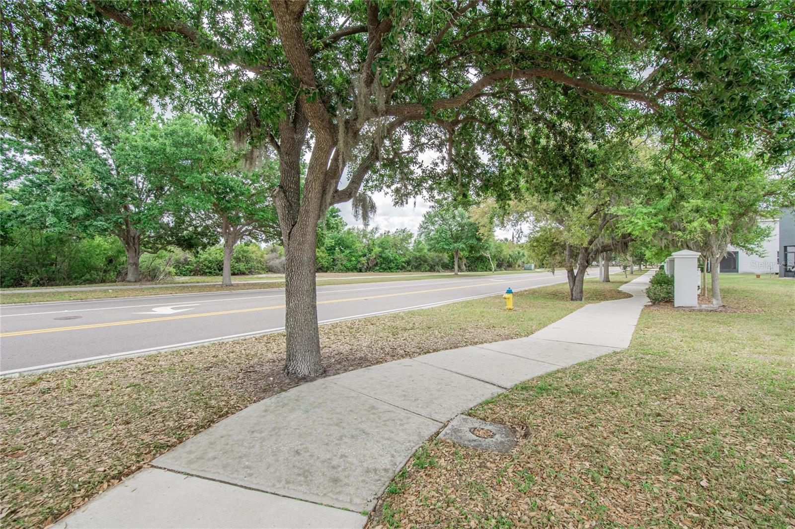 6936 Breezy Palm Dr Property Photo 65