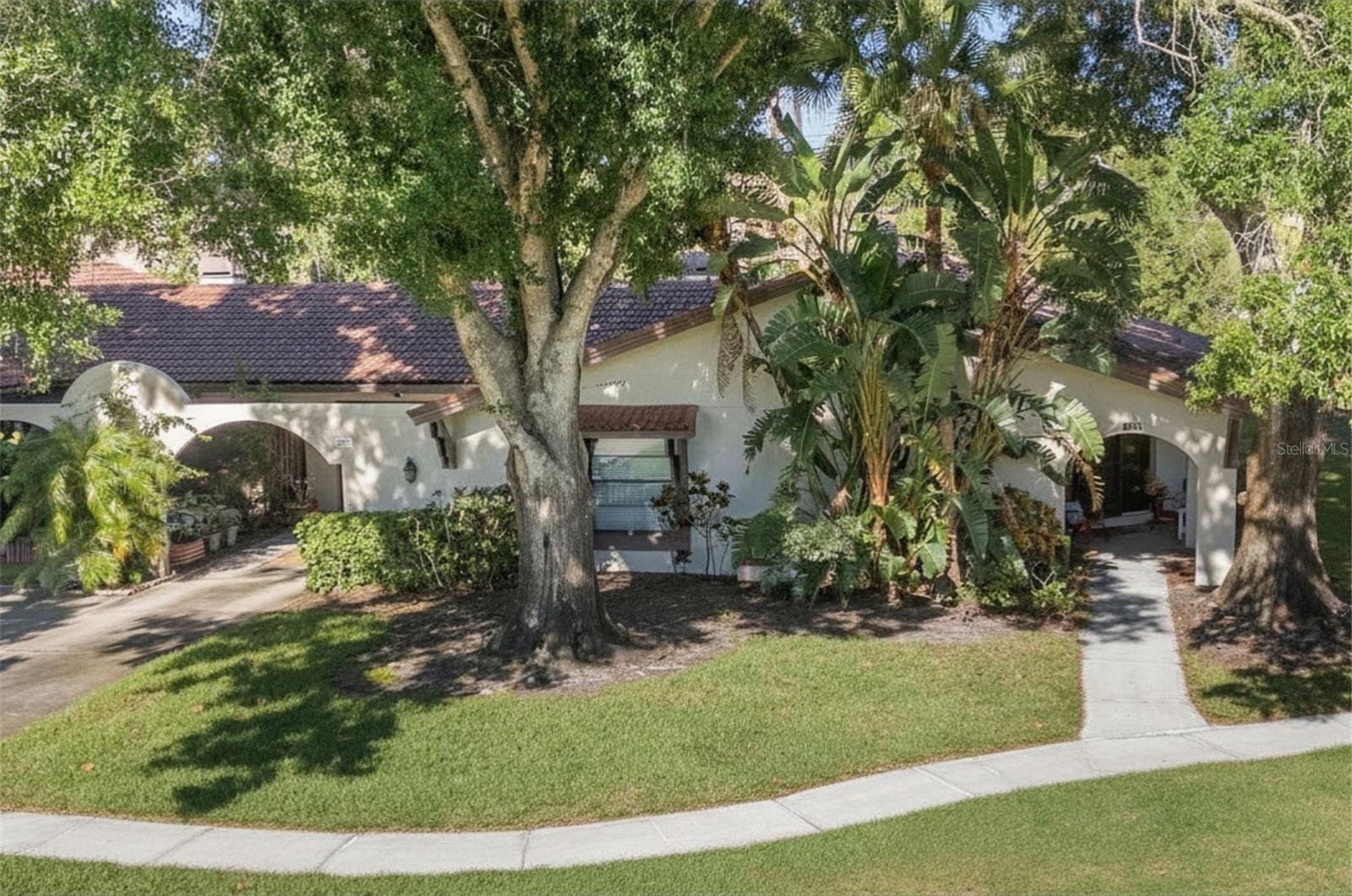 3446 TARPON WOODS BLVD Property Photo 1