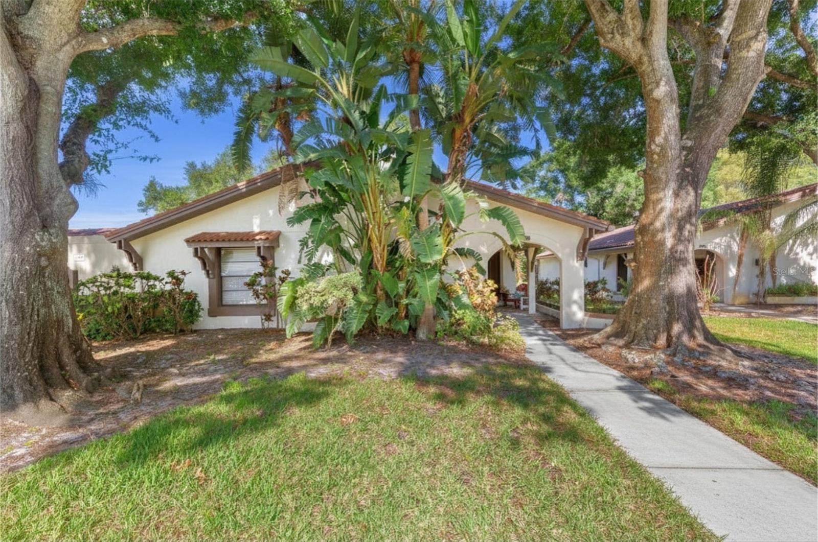 3446 TARPON WOODS BLVD Property Photo 1