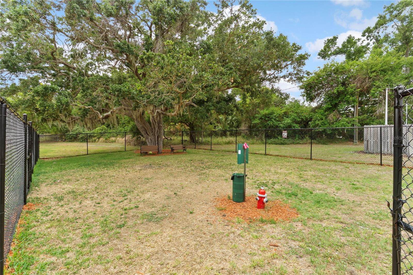 9426 Star Gazer Ln Property Photo 28