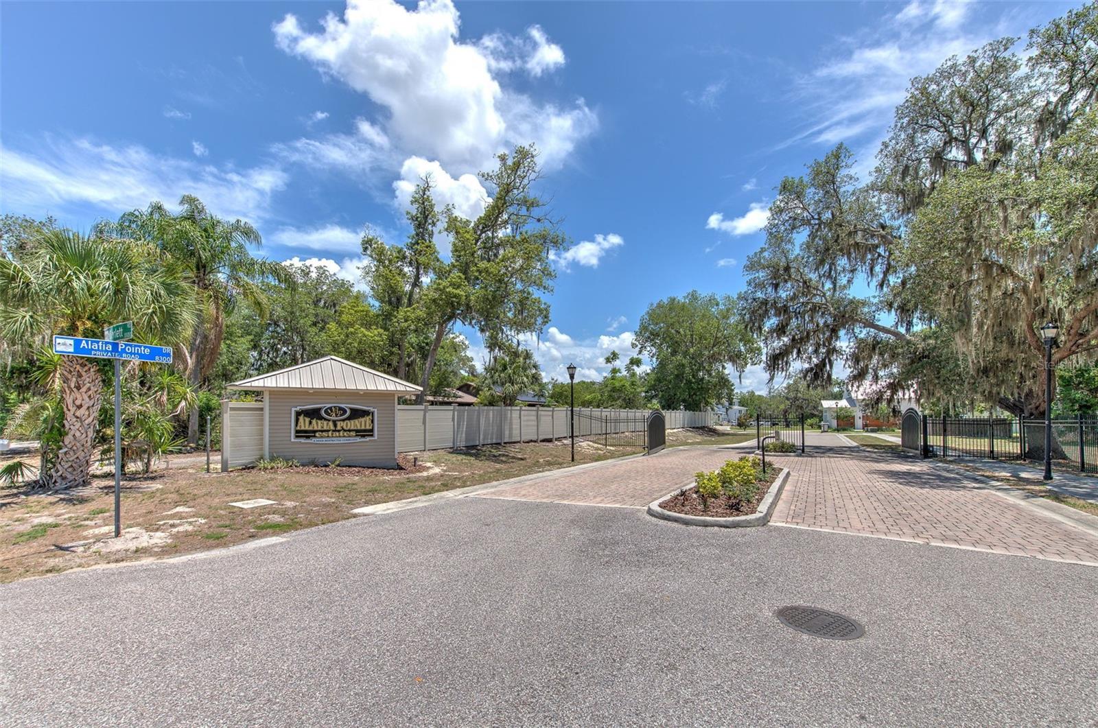 8325 Alafia Pointe Dr Property Photo 2