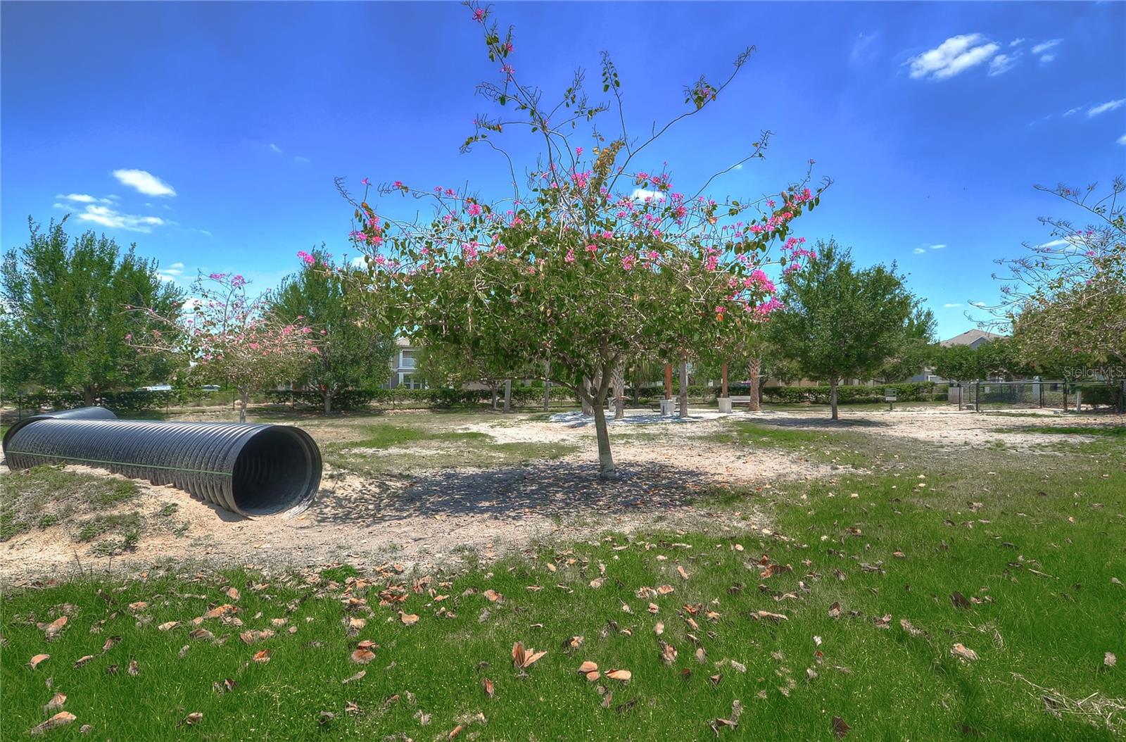 5301 Match Point Pl Property Photo 39