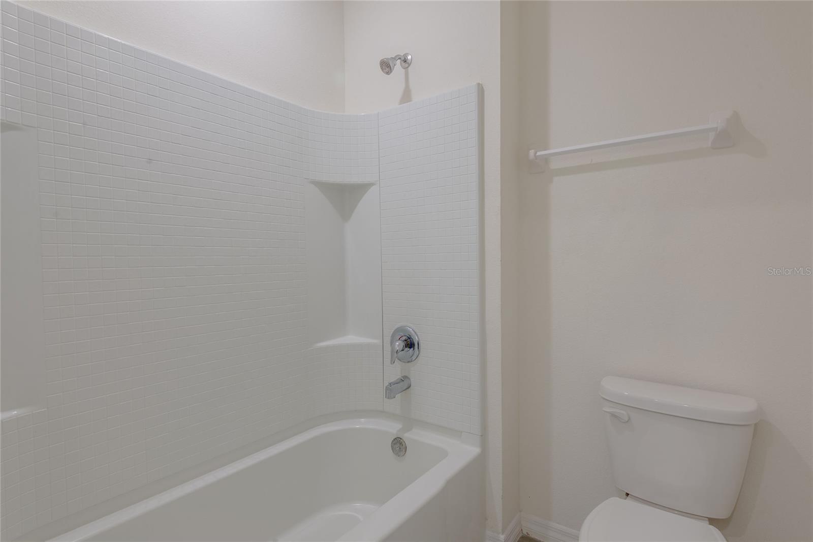 15596 Black Pepper Ln Property Photo 3