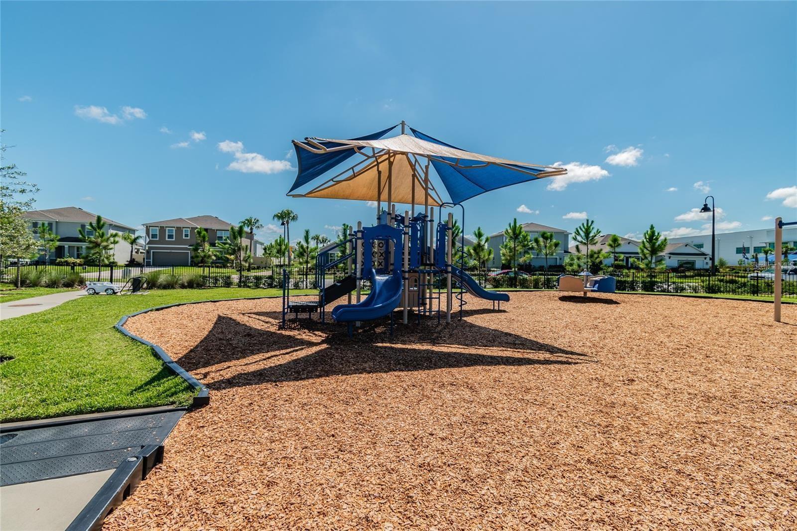 15596 Black Pepper Ln Property Photo 45