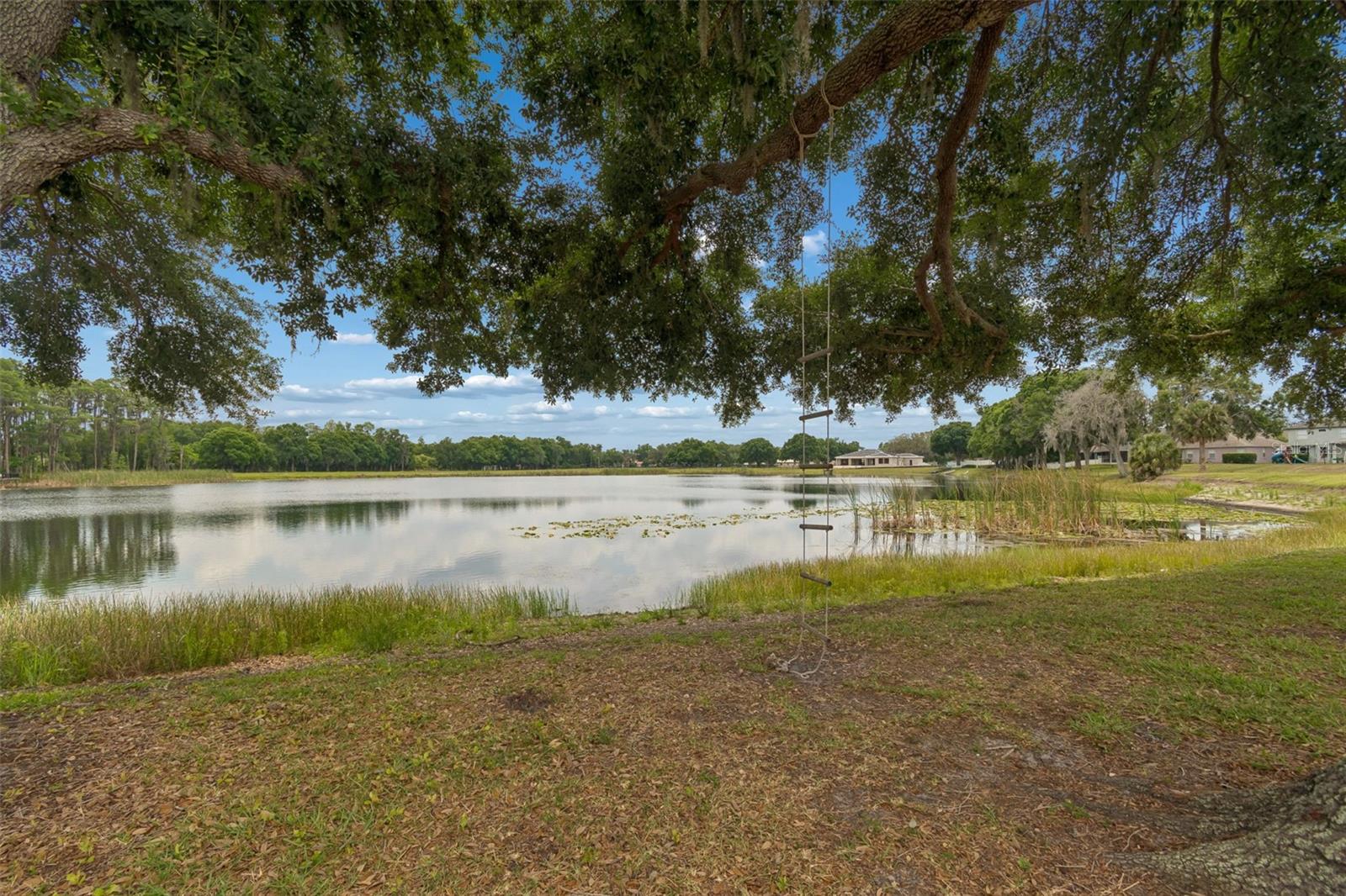 1324 Brooke View Dr Property Photo 65