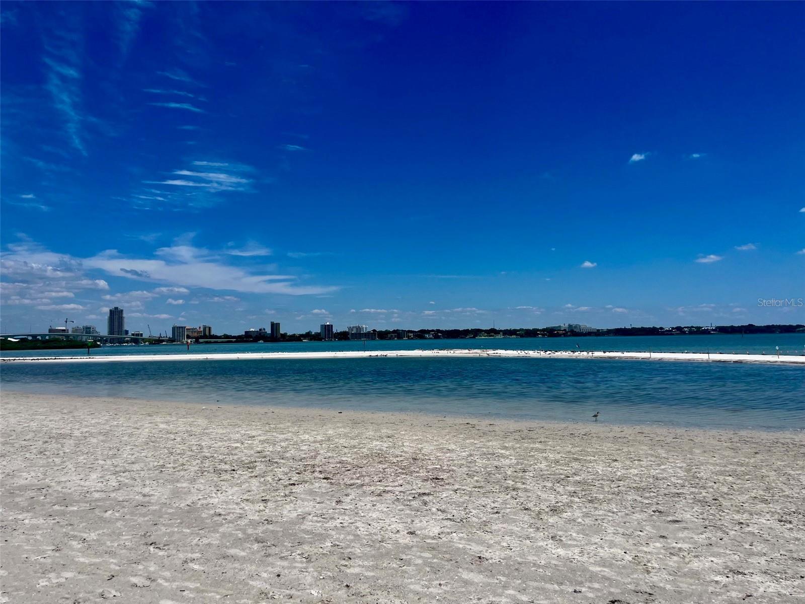 851 Bayway Blvd #405 Property Photo 63