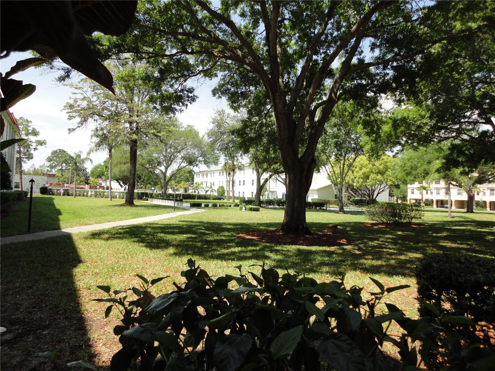 2700 Bayshore Blvd #4312 Property Photo 23