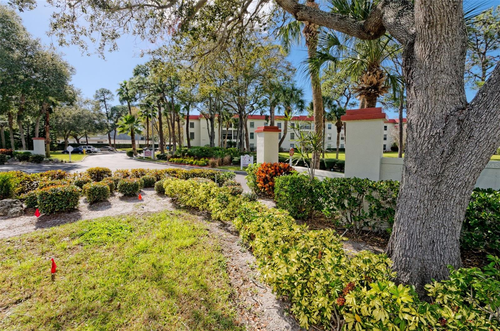 2700 Bayshore Blvd #4312 Property Photo 27