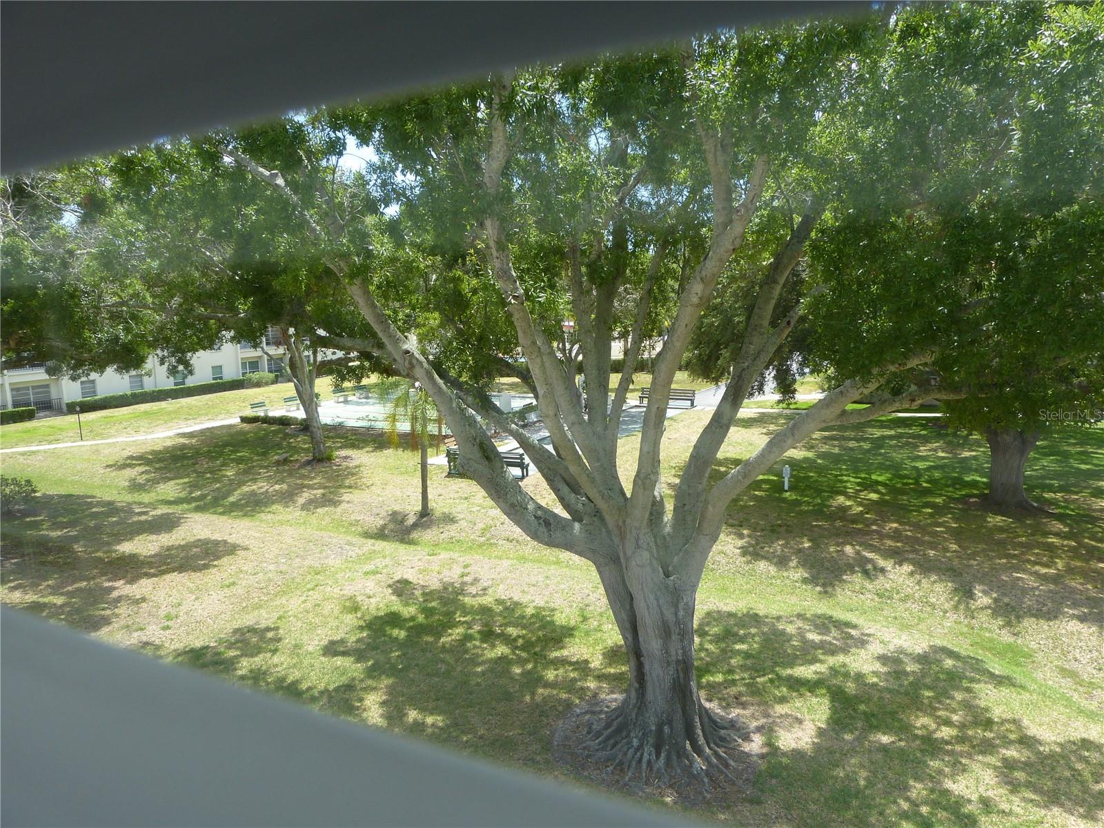 2700 Bayshore Blvd #4312 Property Photo 41