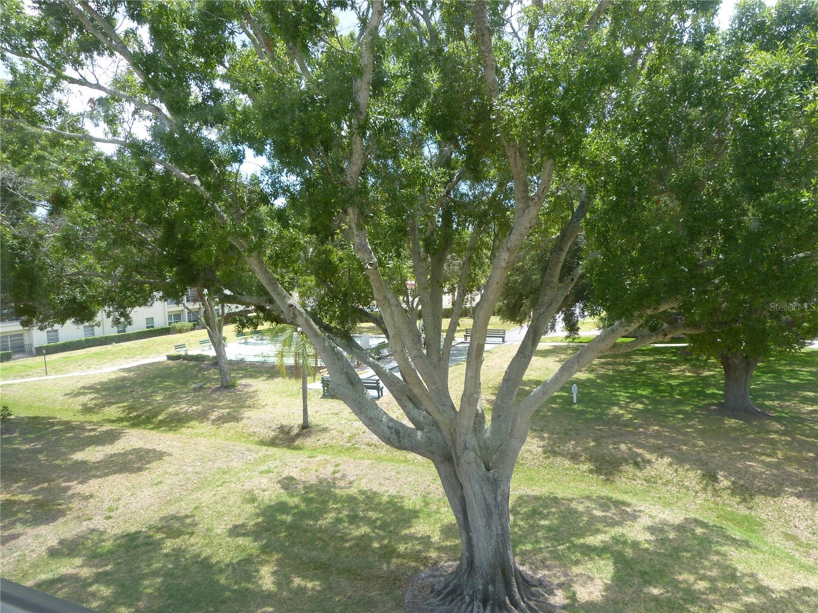 2700 Bayshore Blvd #4312 Property Photo 42