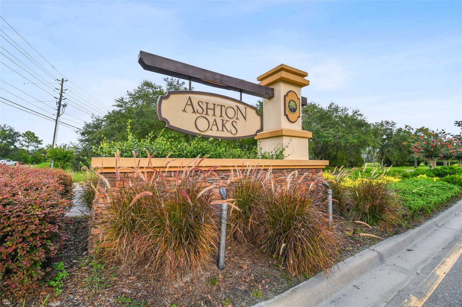 4329 Ashton Meadows Way Property Photo 2