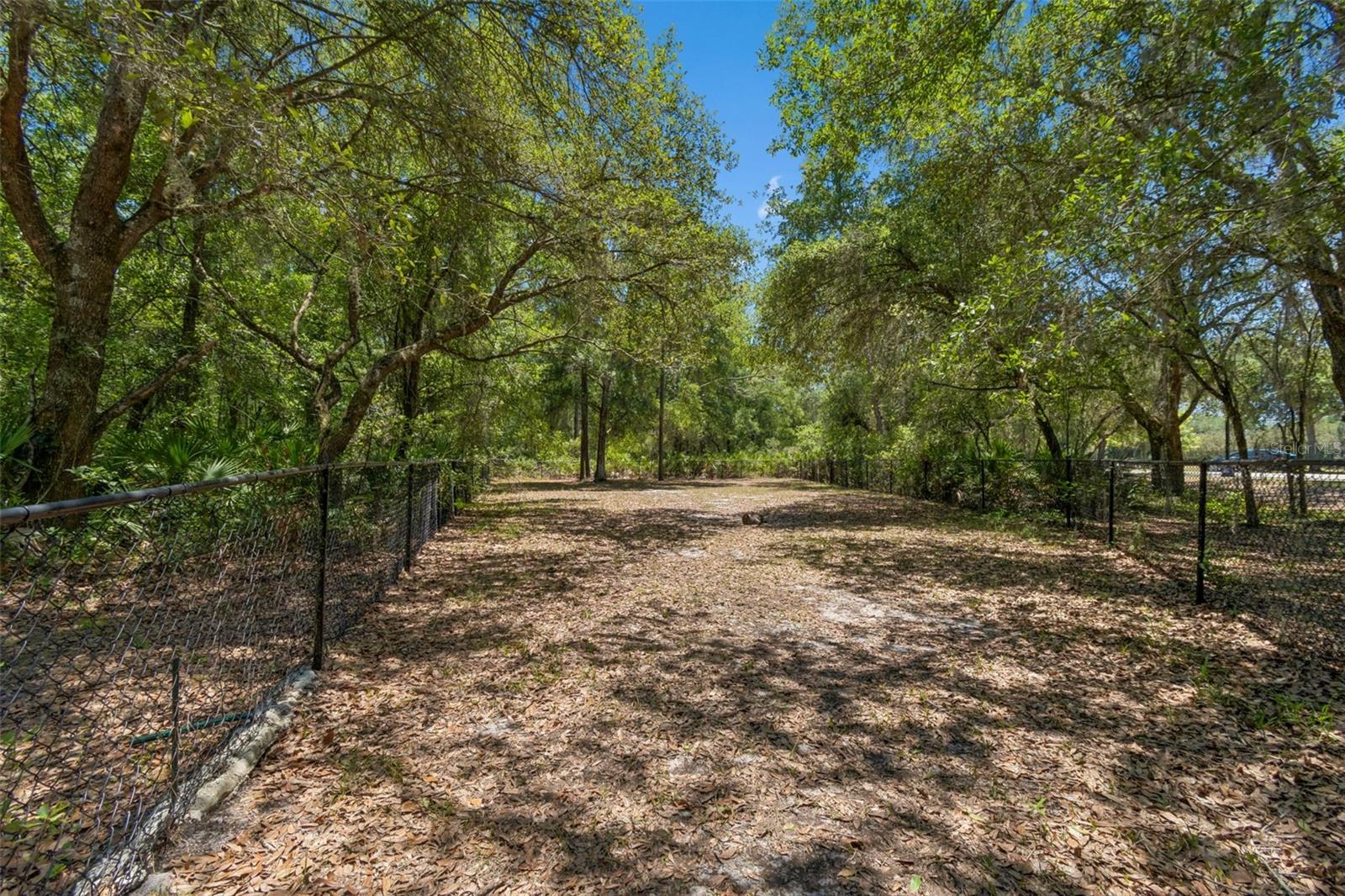 4329 Ashton Meadows Way Property Photo 66