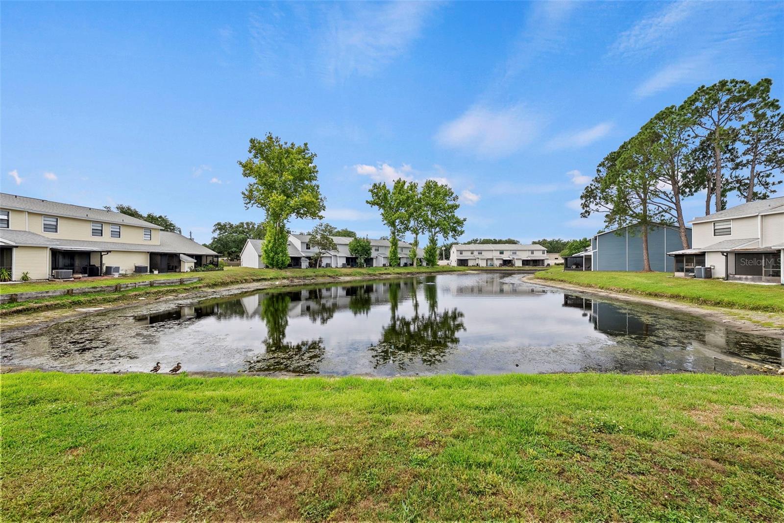 5314 Abinger Ct Property Photo 25