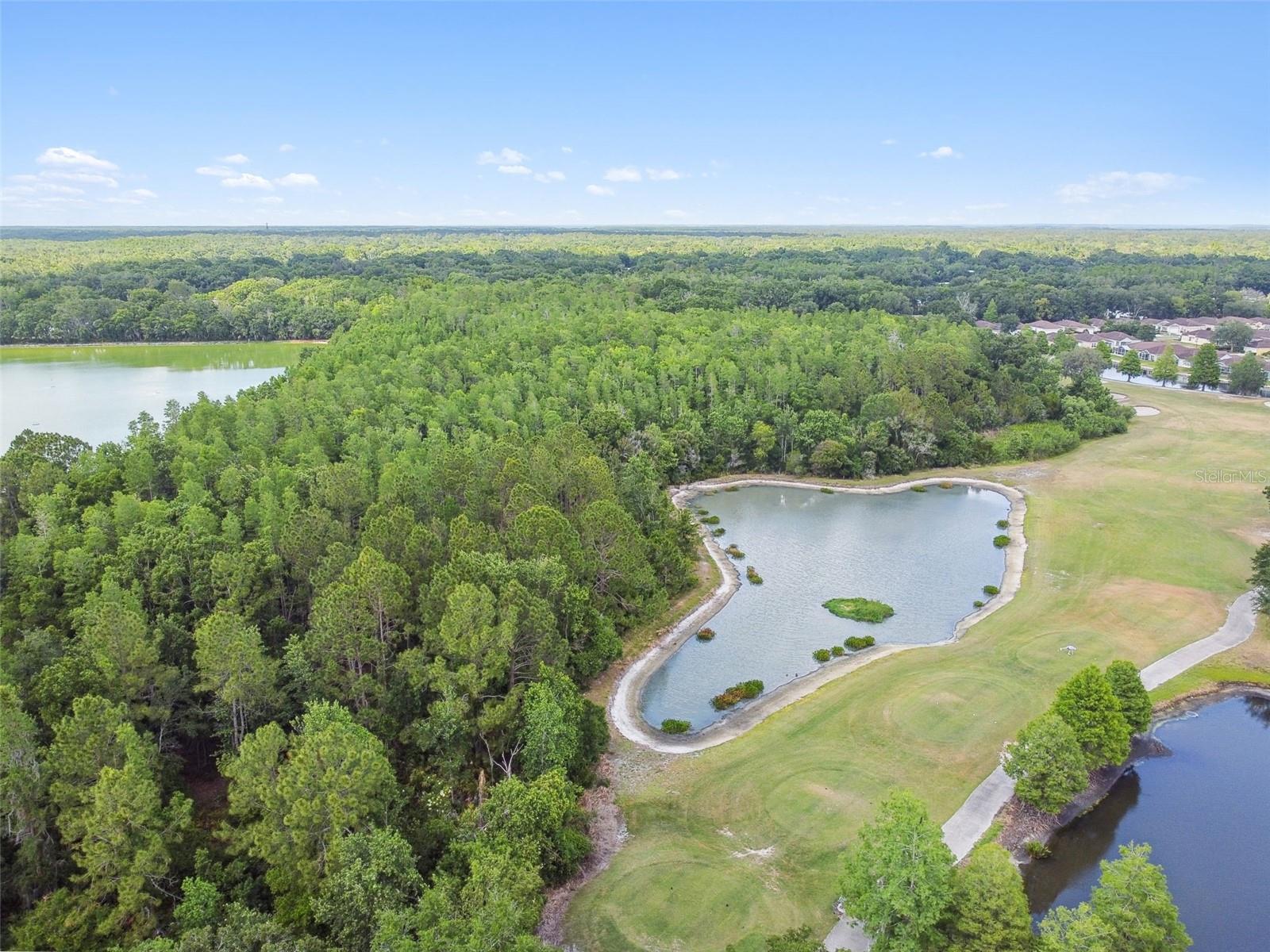 5401 Lookout Pass Property Photo 98