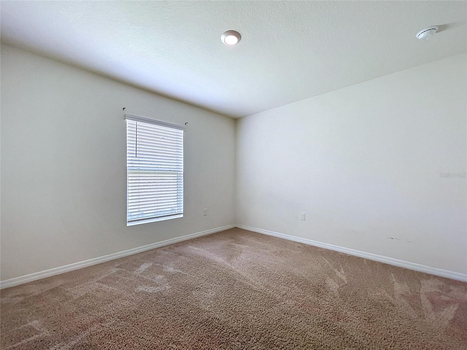 7804 Davie Ray Dr Property Photo 9