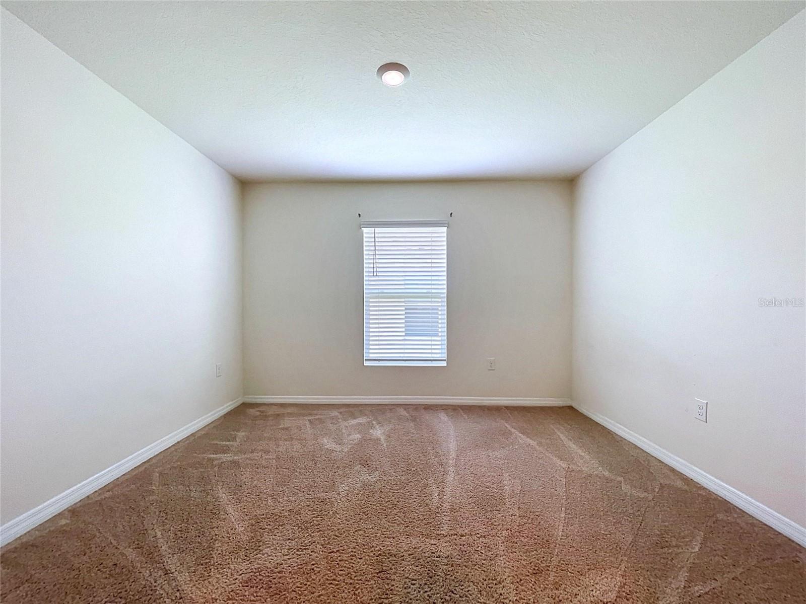 7804 Davie Ray Dr Property Photo 19