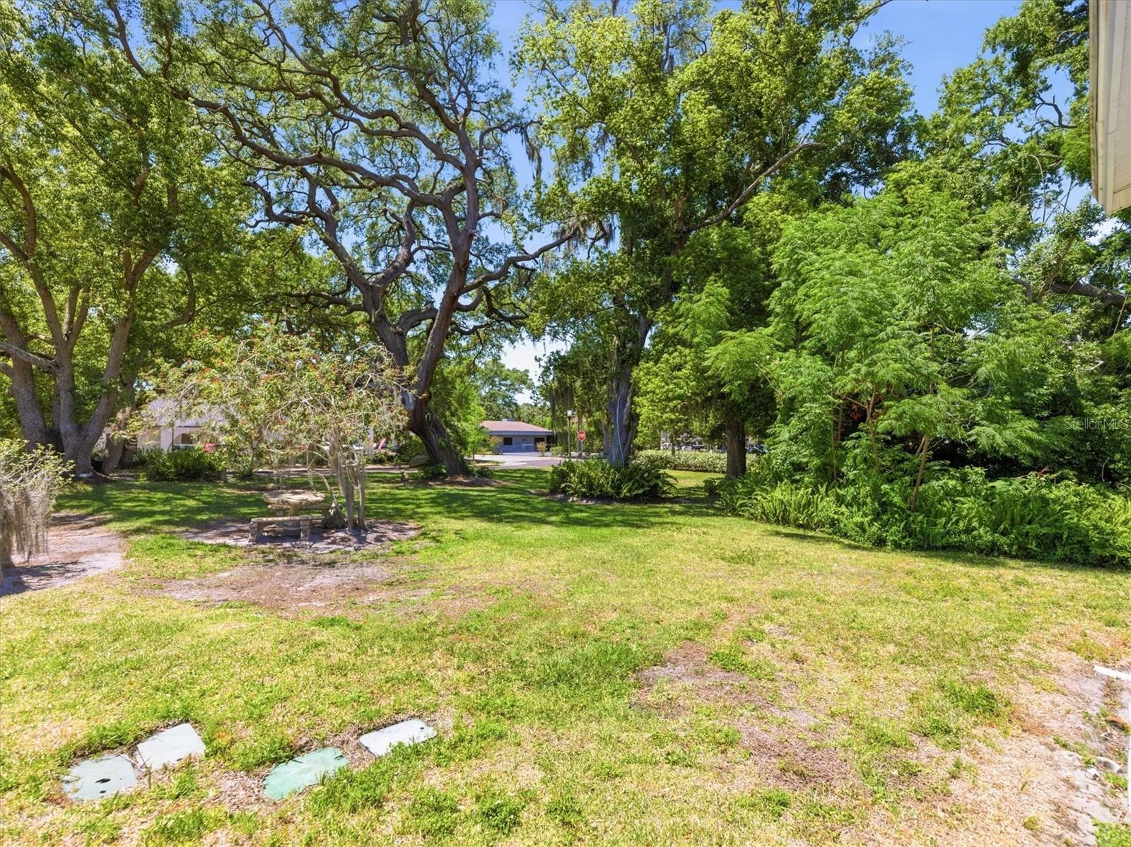 2nd St N Property Photo 41
