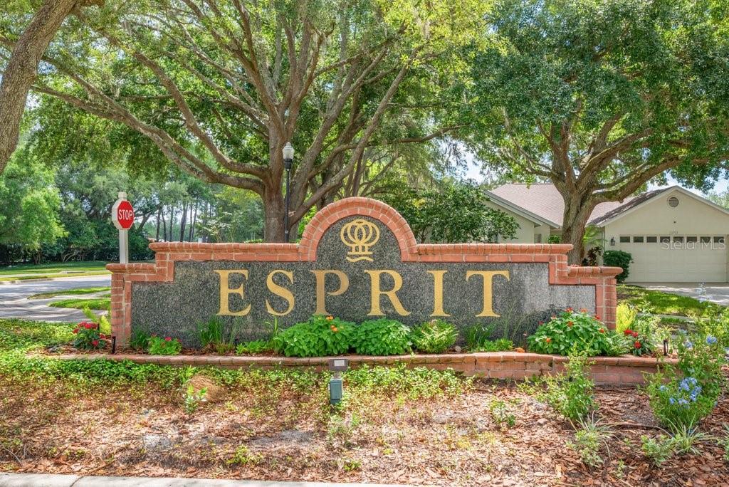 17610 Esprit Dr Property Photo 47