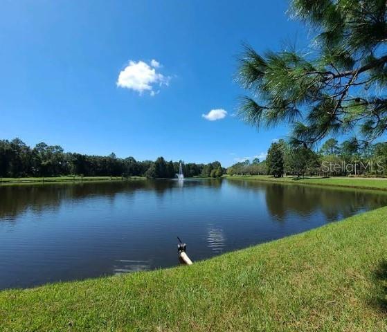 12415 Berkeley Square Dr Property Photo 29