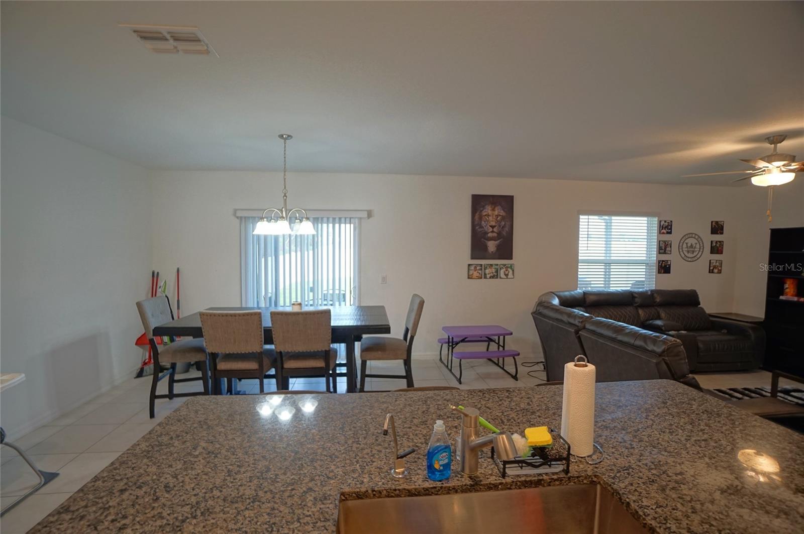 9904 Calypso Orchid Ct Property Photo 21