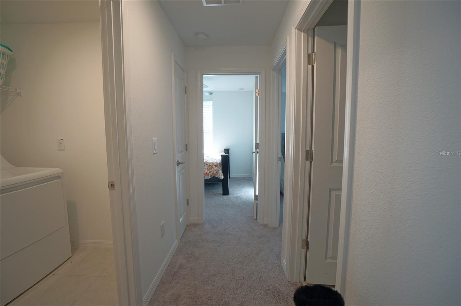 9904 Calypso Orchid Ct Property Photo 28