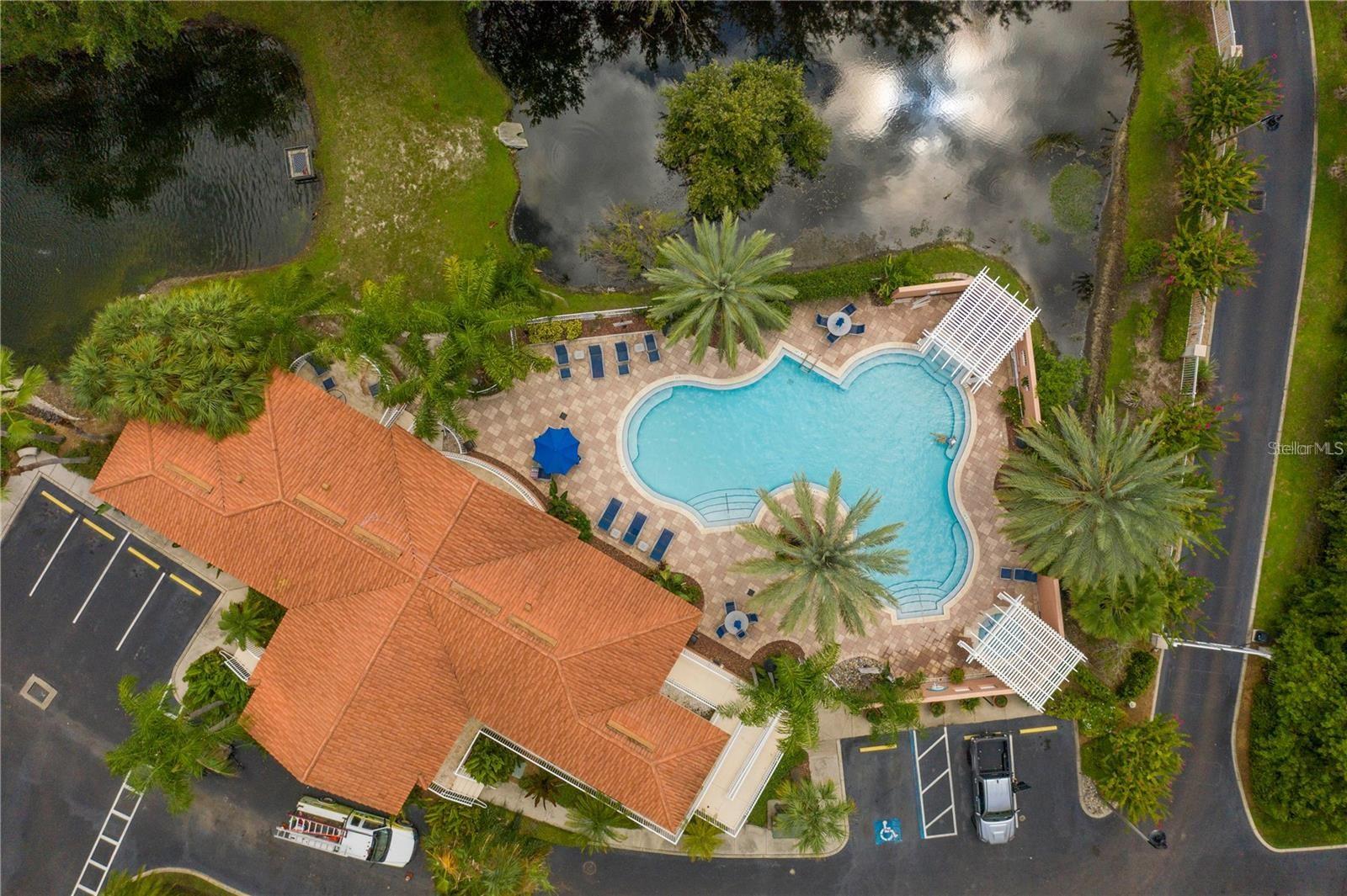 12077 Gandy Blvd N #332 Property Photo 49