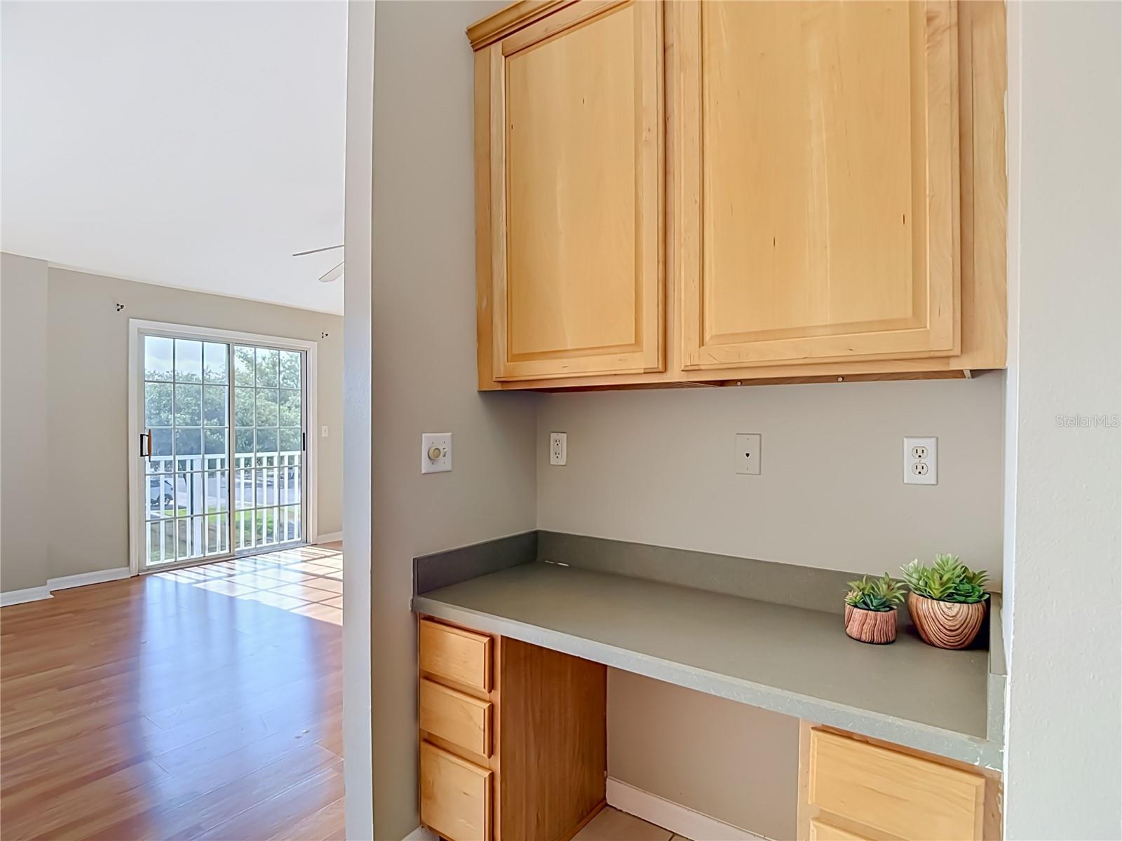 27901 Pleasure Ride Loop Property Photo 19