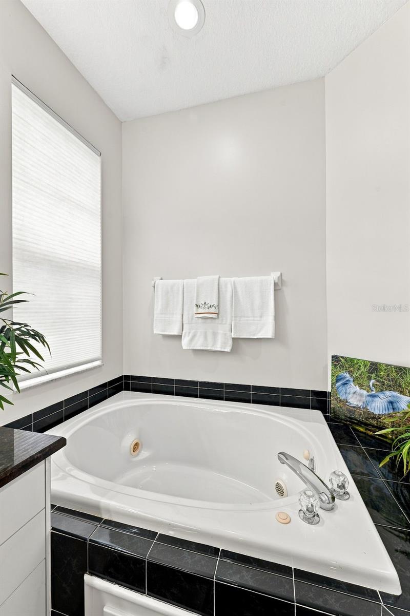 9310 Souchak Dr Property Photo 28