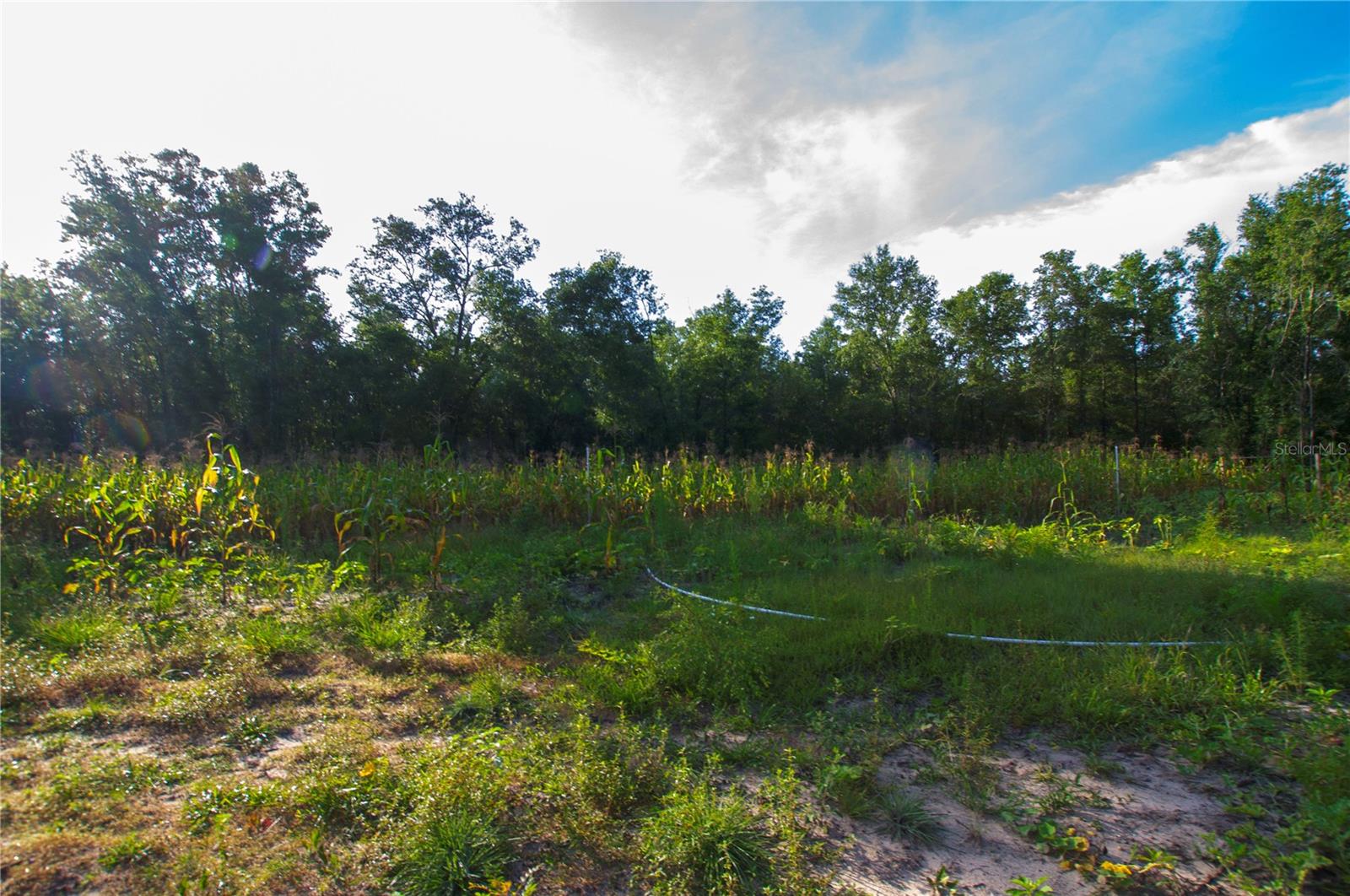 18233 185th Rd Property Photo 40