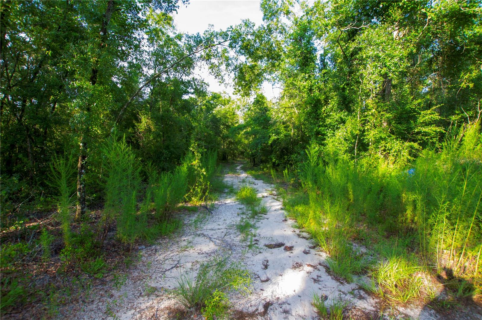 18233 185th Rd Property Photo 41